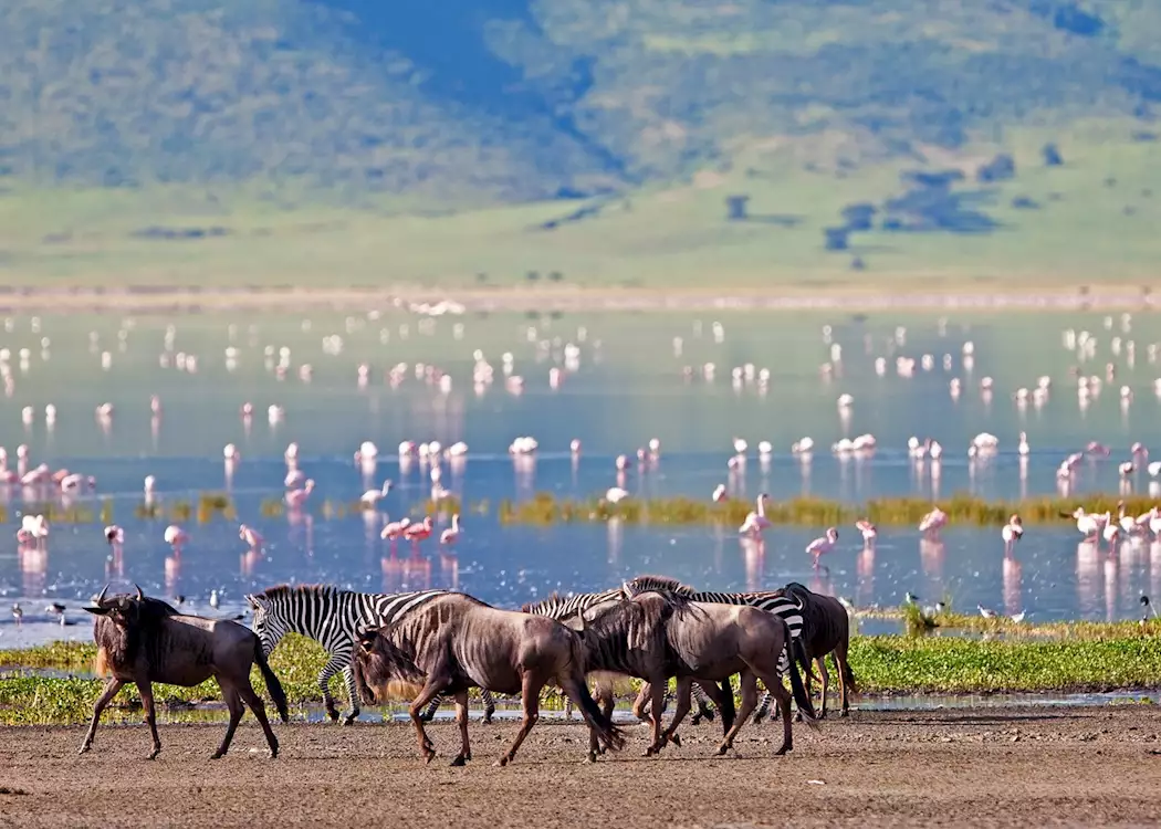 11 Day Serengeti, Ngorongoro & Tarangire