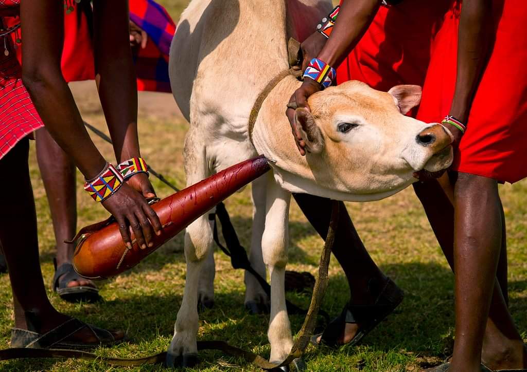 3 Days Kidepo Valley wildlife tour