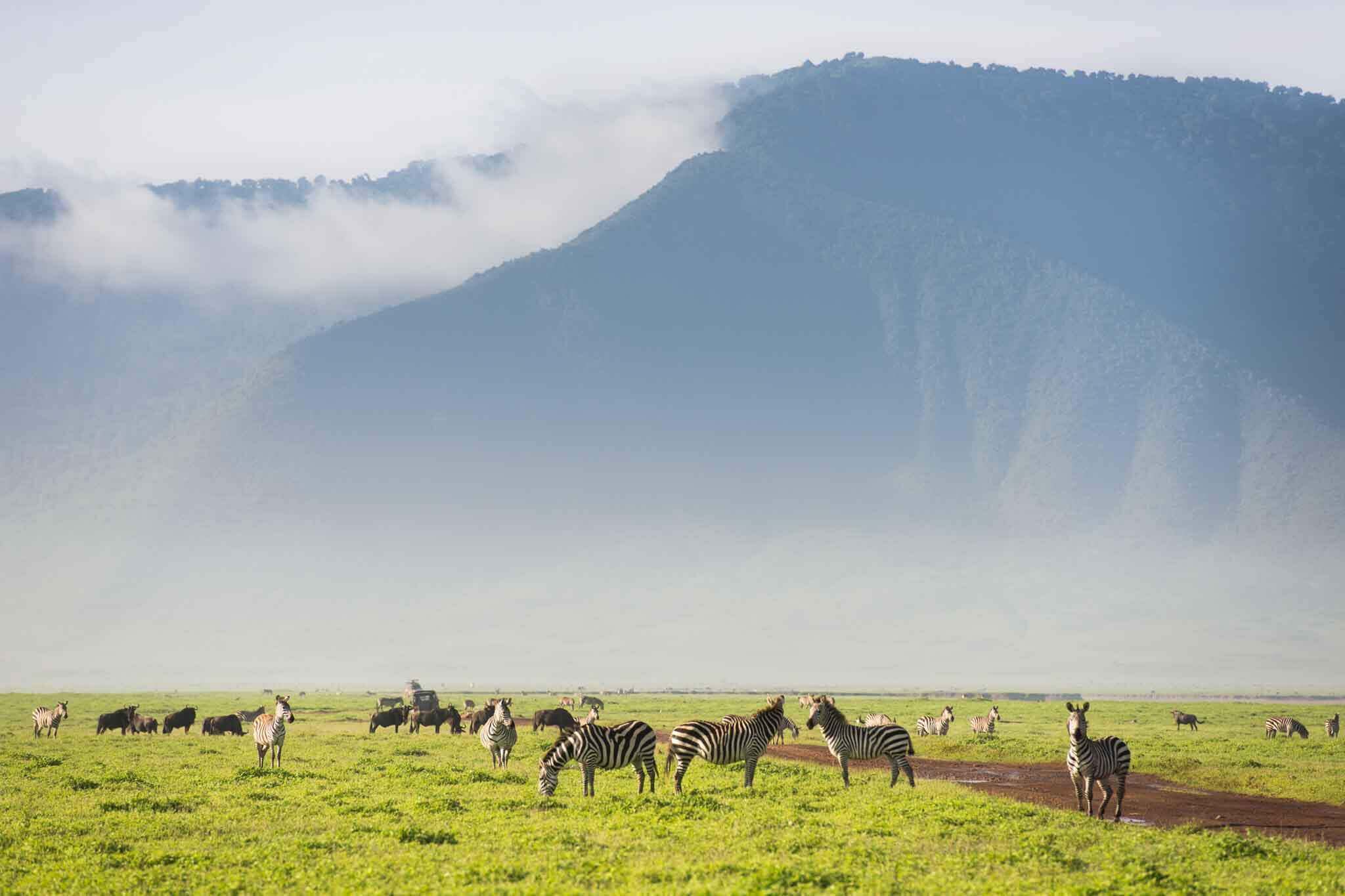 11 Day Serengeti, Ngorongoro & Tarangire