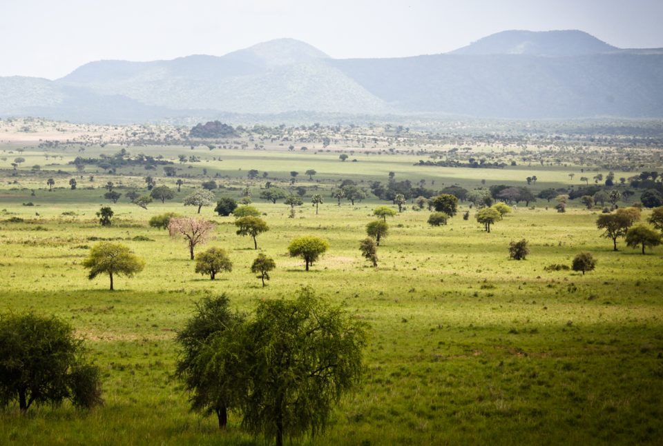 Kidepo Valley National Park