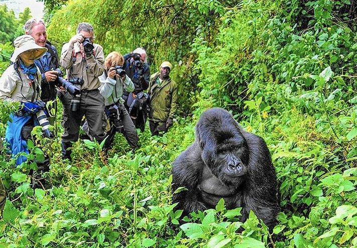 Mgahinga Gorilla National Park