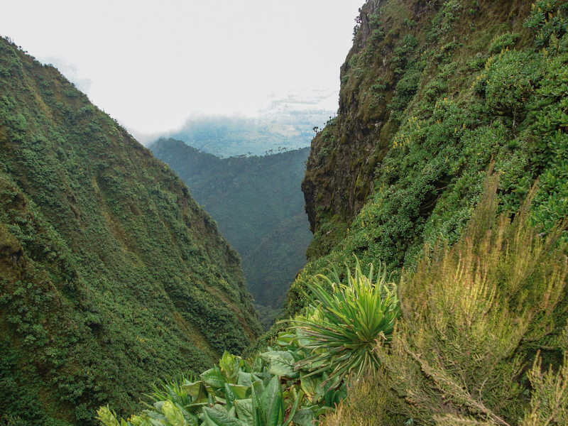 Rwenzori Mountain National Park