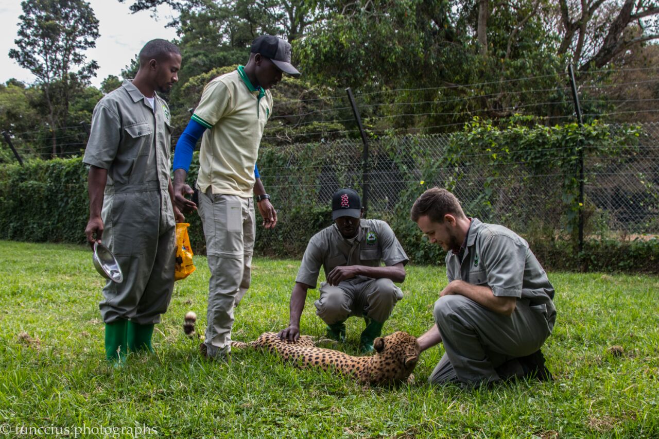 Uganda Wildlife Education Centre (Uwec) Day Tour